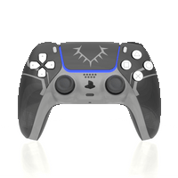 Black Panther (PS5)