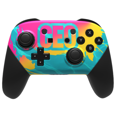 Nintendo Switch Pro - Custom Controller - Standard Designs – Controller ...