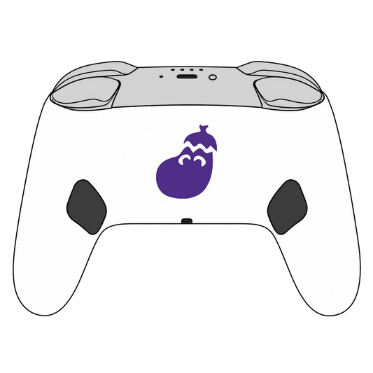 Custom Airbrush Painted Controller Nintendo Switch 2 Two - SSBU Smash Bros Ice Climbers NES Gaming